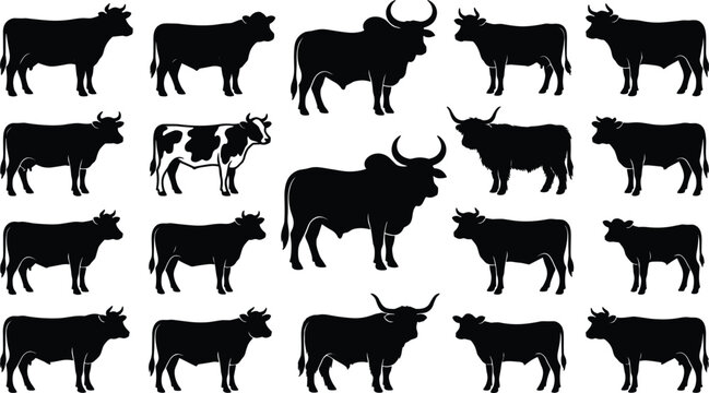 Cow and Bull Silhouette Vector Set Featuring Various Cattle Breeds Zebu Longhorn Highland and Holstein Dairy Cows for Agriculture Ranching Brand Designs