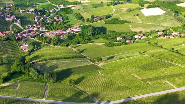 Aerial View of Rolling Green Vineyards and Rural Italian Village