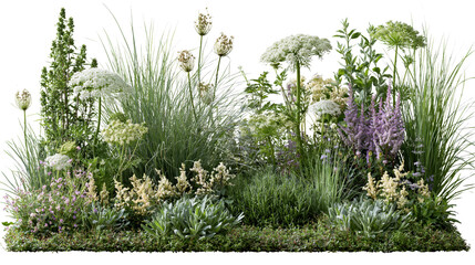 Obraz premium Spring floral garden with grasses, wildflowers and white blossoms