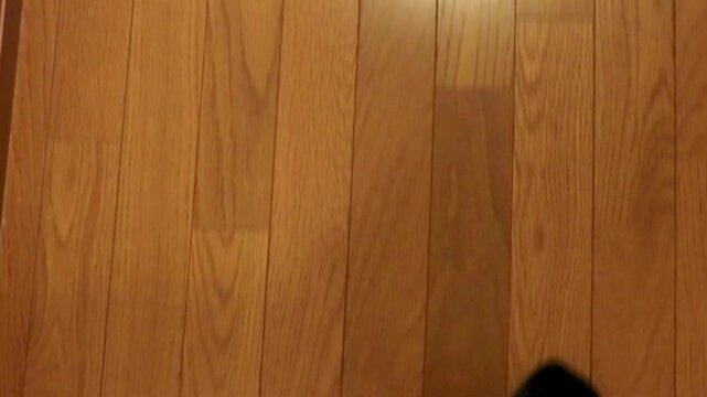 廊下を歩く