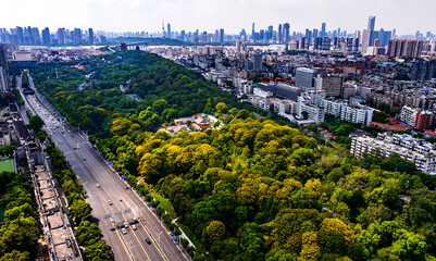 Aerial cityscape of Wuhan China with urban park and modern skyline © NguyenMinh