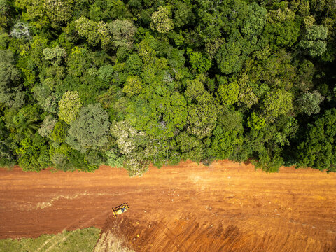 Vista de drone de floresta estacional decidual e terraplanagem em &aacute;rea urbana.