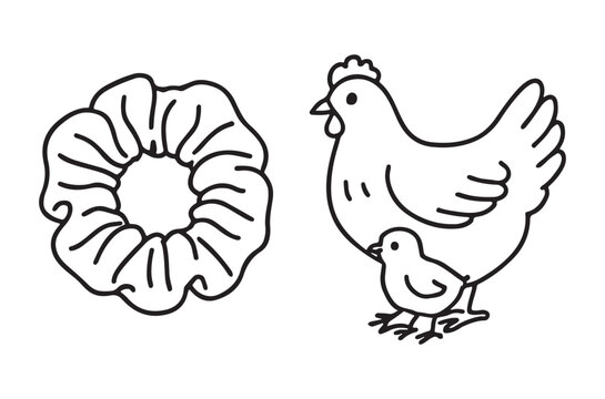 chicken and chick with scrunchie line drawing