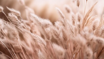Obraz premium Organic Photo Blurry Dried Neutral Beige Grass Botanical Aesthetic Textured Abstract Background