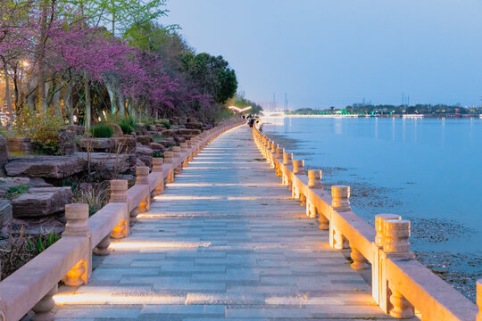 Lakeside pedestrian walkway at night