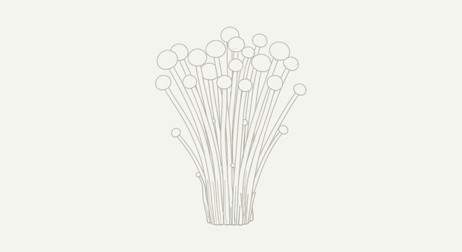 A minimalist line drawing of enoki mushrooms on a neutral background