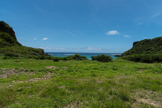 広い緑の草原とエメラルドグリーンの海