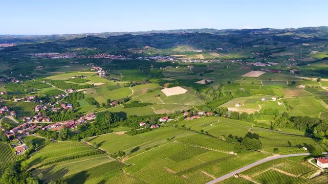 Aerial View of Rolling Green Vineyards and Rural Italian Countryside