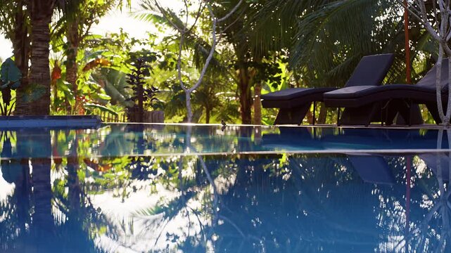 Luxury lounge chairs beside a tranquil swimming pool surrounded by dense tropical vegetation. Reflections on the water surface and warm natural light create an inviting atmosphere of relaxation, comfo