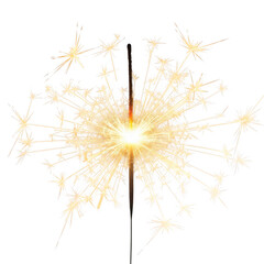 Obraz premium Golden sunburst against a backdrop of delicate sparkles isolated on transparent background