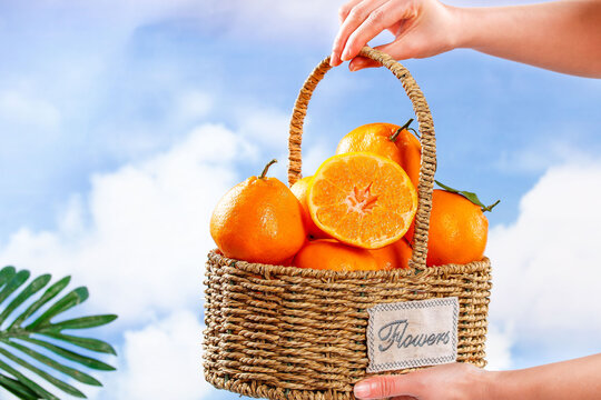 Fresh Citrus Oranges in Woven Basket with Blue Sky Background