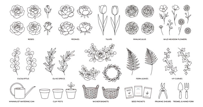 Minimalist botanical line art collection, hand drawn floral sketches and gardening tools vector set, elegant black and white flower illustrations for wedding stationery
