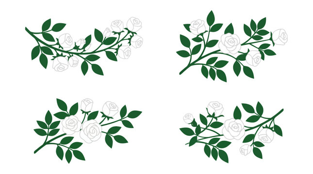 A collection of white rose floral branches on white background