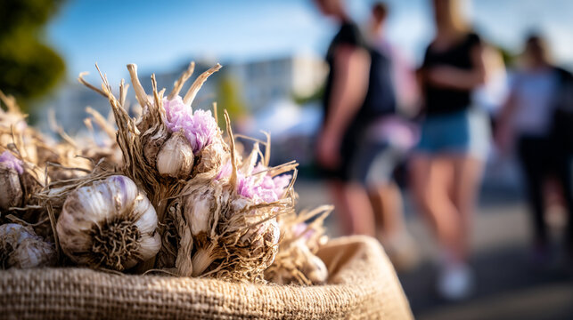 Fresh garlic bulbs in burlap sack at an outdoor farmer market with vegetable, culinary