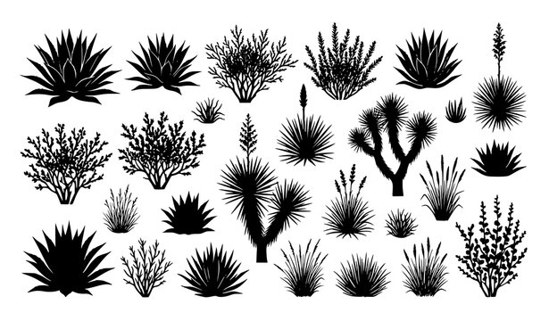 Minimal desert vegetation silhouette vector collection with agave and shrubs