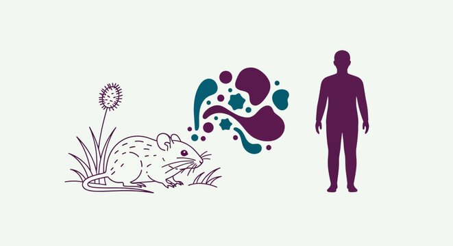 Minimalist vector illustration showing zoonotic disease transmission from a field mouse to a human silhouette, featuring abstract teal and purple pathogen shapes on white background.