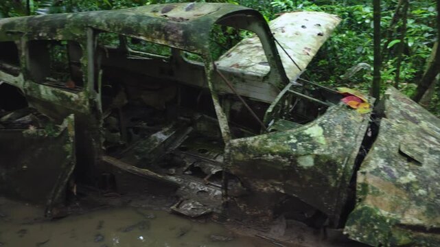 Crashed airplane that went down in the jungle more than 40 years ago sits abandoned and decaying. Moss and vegetation cover the corroded fuselage surrounded by tropical forest and muddy water.