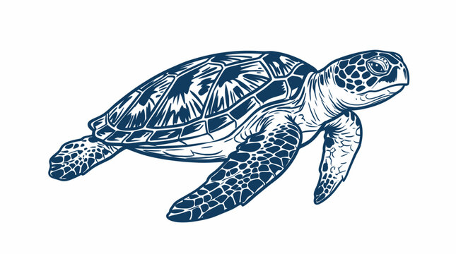 Hand drawn sea turtle swimming with detailed shell patterns