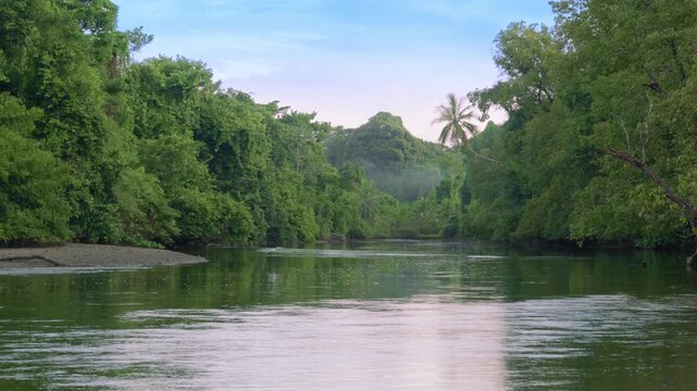 Serene tropical river winds through lush green rainforest canopy with palm trees and dense vegetation on both banks, misty hills in background under soft pastel sky, calm water reflecting foliage.