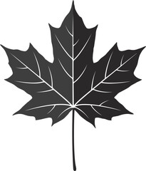 Fototapeta premium Single black maple leaf with white veins silhouette icon mockup, autumn foliage vector illustration