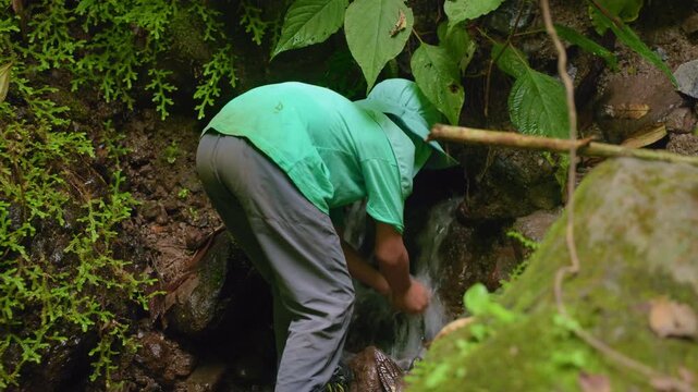 Person in green shirt and hat bends down to wash hands in a small waterfall stream flowing through tropical rainforest. Moss covered rocks and vibrant ferns frame the refreshing natural spring.
