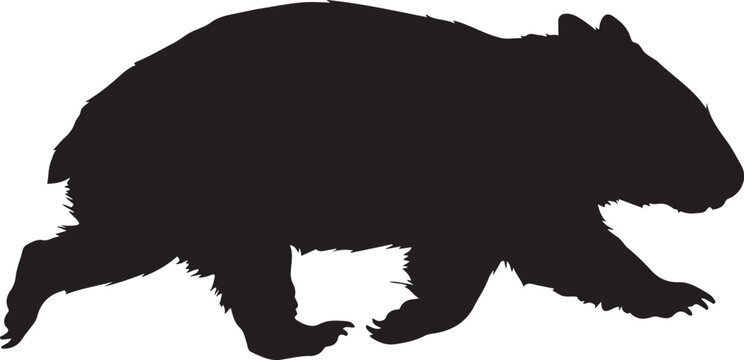 Wombat Silhouette Line Art Bold Outline Australian Marsupial Vector Illustration