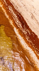 Fototapeta premium Florida sargassum on the beach shore Summer 2026 foll bloom