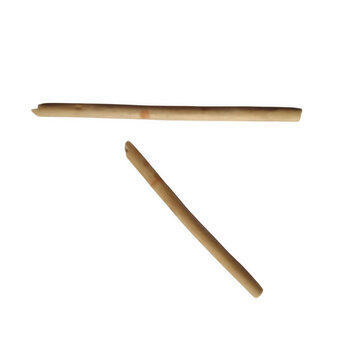 Two dry thin brown twigs lying on a transparentbackground, isolated natural objects