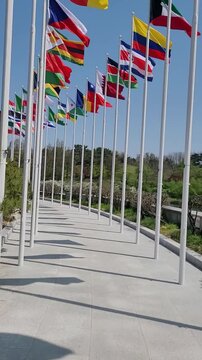 National Flags of Various Countries Fluttering in the Wind under a Clear Blue Sky
