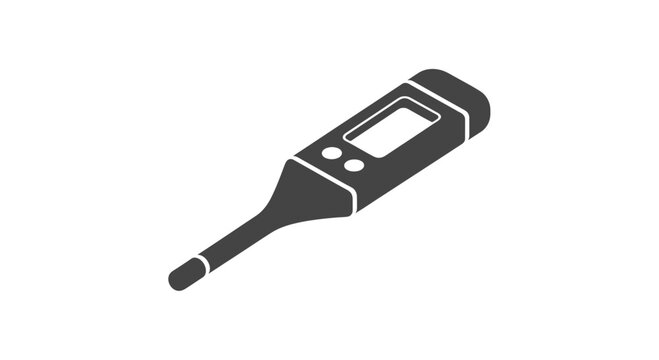 Digital Thermometer with Probe and Display.