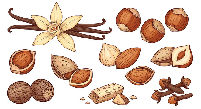 Assortment of baking ingredients including vanilla flowers, hazelnuts, almonds, cloves, nutmeg, and a nougat piece on a white background.