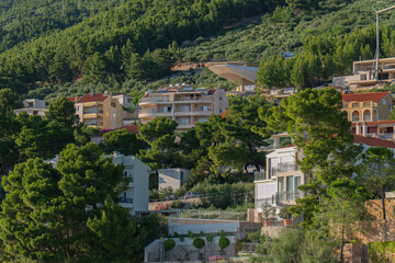 Fototapeta premium Houses and apartments on a green hill surrounded by pine trees in Makarska Riviera, Croatia