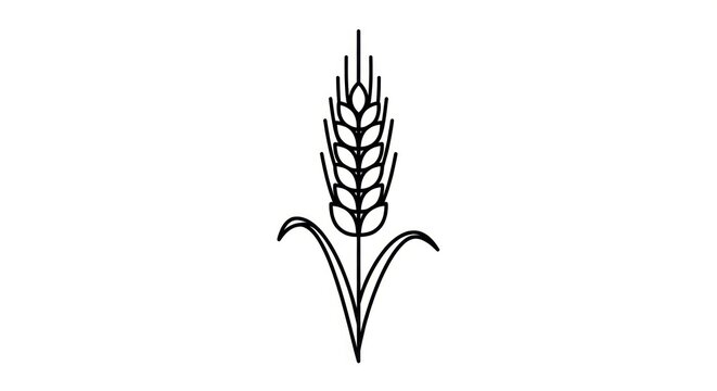 Simple illustration of wheat plant.