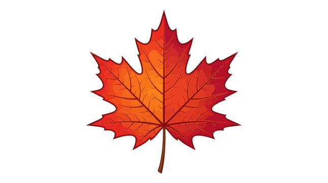 Vibrant red and orange maple leaf with detailed veins