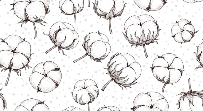 Seamless monochrome pattern of hand-drawn cotton bolls and dots on a white background suitable for a natural and organic textile design.