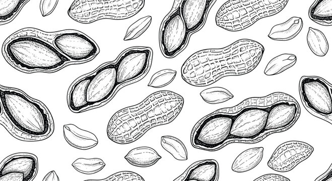 Seamless pattern of hand drawn peanuts in shells and kernels in a black and white stippled line art style for packaging.