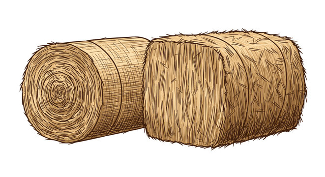 Round and square hay bales for livestock feed depicted in a detailed rustic colored line art agriculture illustration.