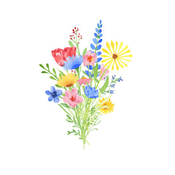 Watercolour meadow flowers composition on white background.