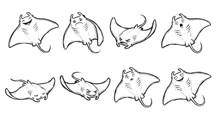 Manta Ray Stingray Character Sketch Vector Set © Chernobyl Studio