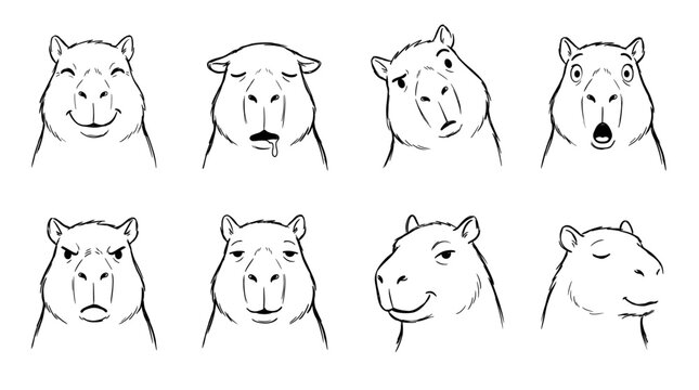 Bear Face Expressions Hand Drawn Vector Sketch Set