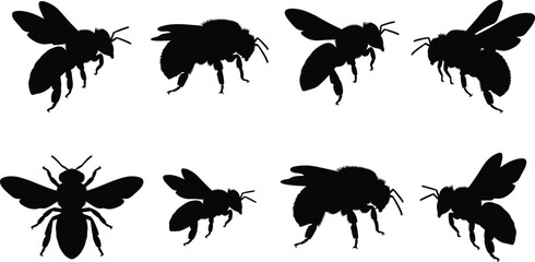 Bee Silhouette Collection Set with Flying Honeybee and Bumblebee Insect Poses © Sreejoynaraon