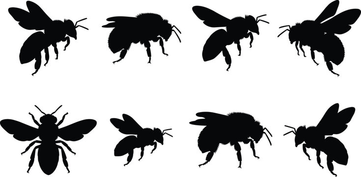 Bee Silhouette Collection Set with Flying Honeybee and Bumblebee Insect Poses