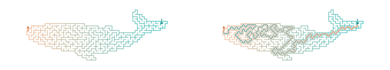 Stylized whale in a summer maze game vector design   ©  AtlAnt