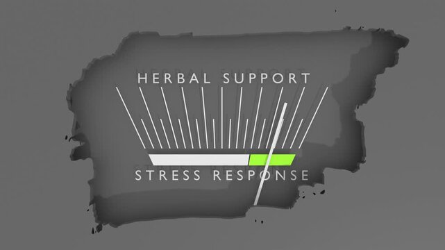 Influence of herbal support on cortisol values. Scales of cause and effect. Meter showing increasing high values. Getting good results. Pharmacy medicine concept. Nutritional support.