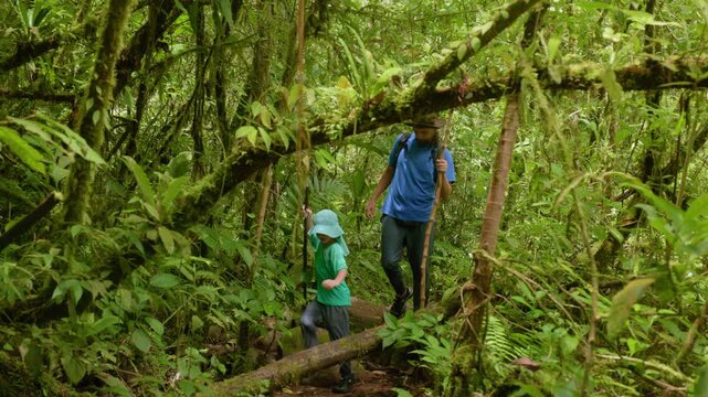 Father and son hiking through wild nature as they navigate dense tropical rainforest trail. Man with backpack and walking stick guides child through moss-covered trees and vibrant green foliage.