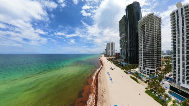 Miami Beach sargassum seaweed overgrowth 2026