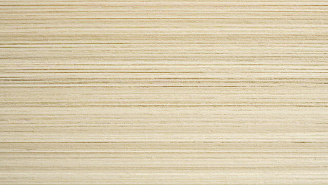 side view of Book page close up texture background