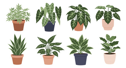 Fototapeta premium Diverse collection of eight different green houseplants in various ceramic pots, perfect for interior home decoration.