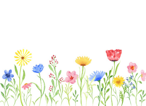 Watercolor flowers field on white background