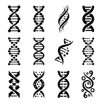 Collection of various DNA double helix structure icons with genetics genomics structure biotechnology research evolution molecule genotype biochemistry